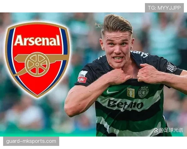 德甲夏窗激战升级：多支豪门竞逐新星，转会市场白热化