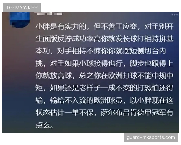 德甲官方回应近期争议事件